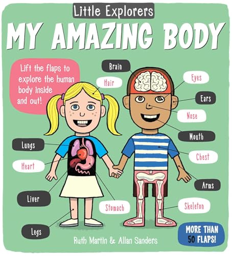 Little Explorers: My Amazing Body - Board Books