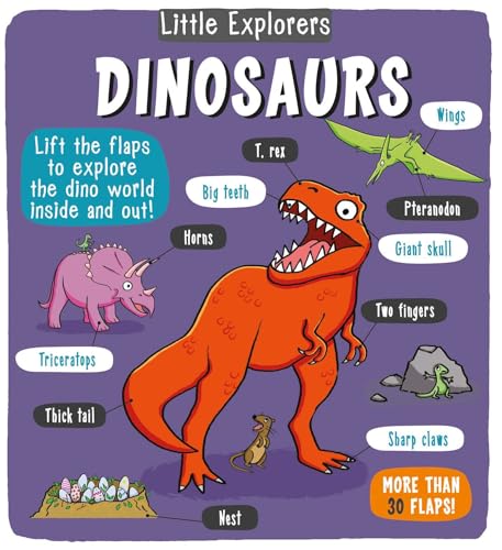 Little Explorers: Dinosaurs - Hardcover