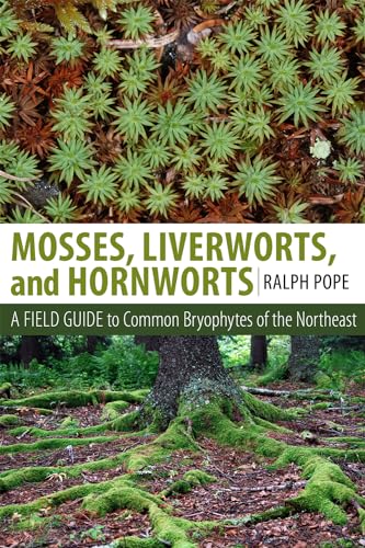 Mosses, Liverworts, and Hornworts: A Field Guide to the Common Bryophytes of the Northeast - Paperback