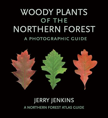 Woody Plants of the Northern Forest: A Photographic Guide - Paperback