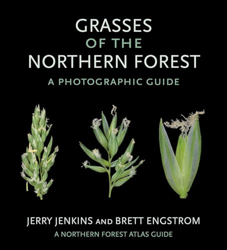 Grasses of the Northern Forest: A Photographic Guide - Paperback