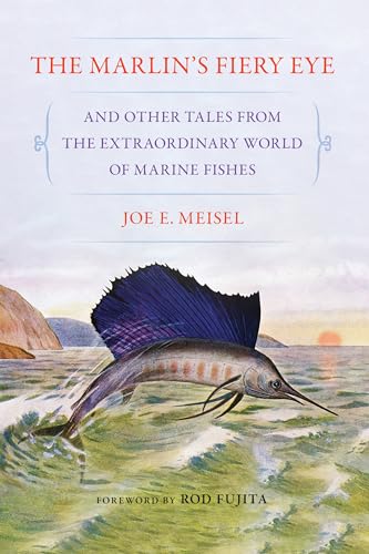 The Marlin's Fiery Eye and Other Tales from the Extraordinary World of Marine Fishes - Paperback