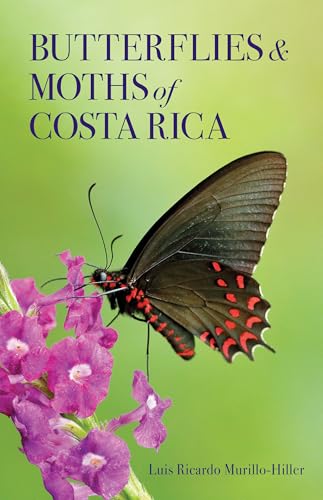 Butterflies and Moths of Costa Rica - Paperback