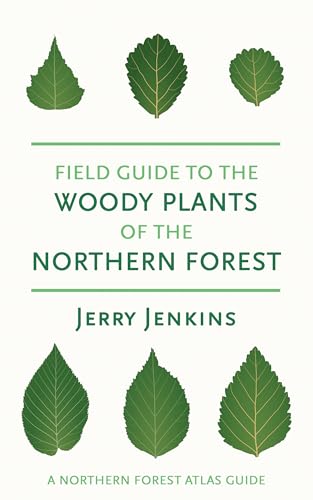 Field Guide to the Woody Plants of the Northern Forest - Paperback