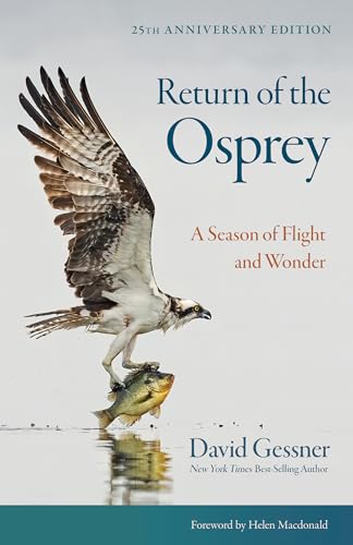 Return of the Osprey: A Season of Flight and Wonder - Paperback