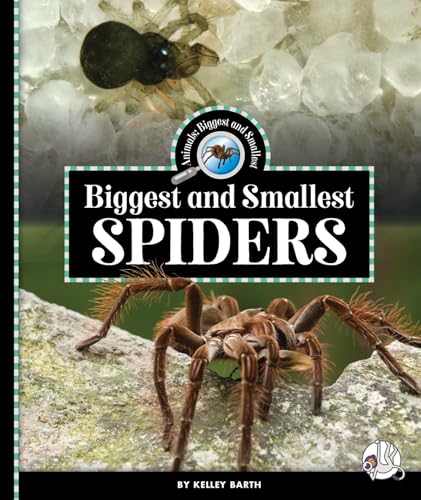 Biggest and Smallest Spiders - Library Binding