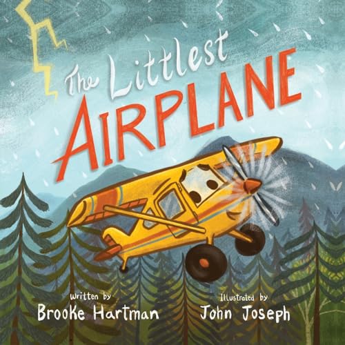 The Littlest Airplane - Paperback