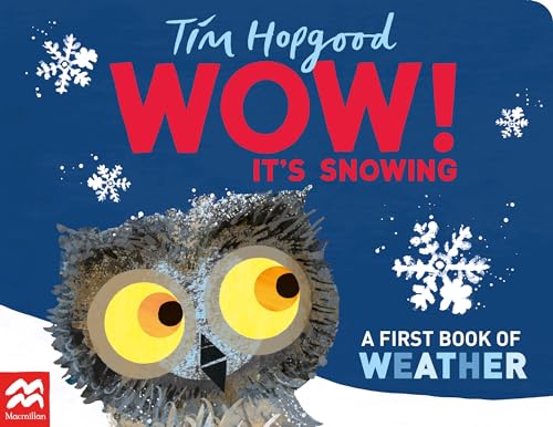 Wow! It's Snowing: A First Book of Weather - Board Books