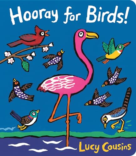 Hooray for Birds! - Board Books