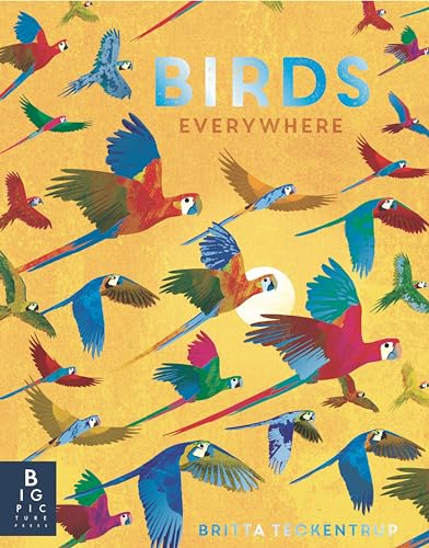Birds Everywhere - Hardcover