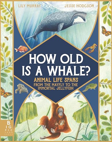 How Old Is a Whale?: Animal Life Spans from the Mayfly to the Immortal Jellyfish - Hardcover