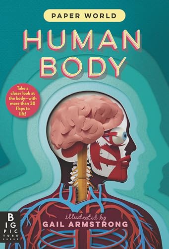 Paper World: Human Body - Hardcover