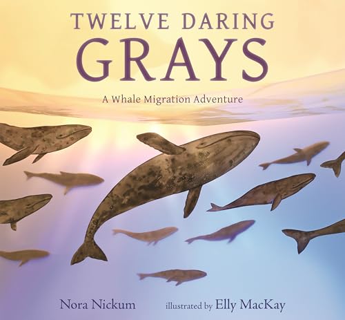 Twelve Daring Grays: A Whale Migration Adventure - Hardcover