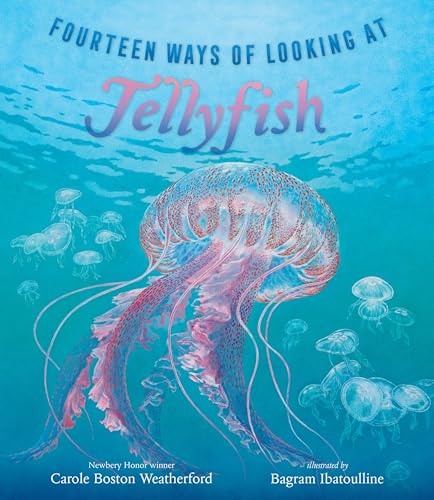 Fourteen Ways of Looking at Jellyfish - Hardcover