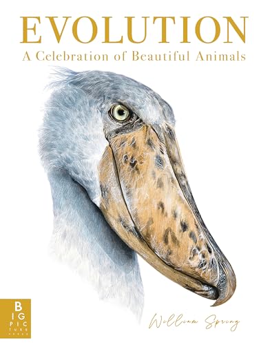 Evolution: A Celebration of Beautiful Animals - Hardcover