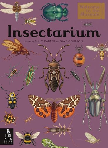 Insectarium: Welcome to the Museum (an Illustrated Junior Entomology Guide to Wild Bug Species, Biodiversity, and Nature Conservation for Kids Ages 8- - Hardcover