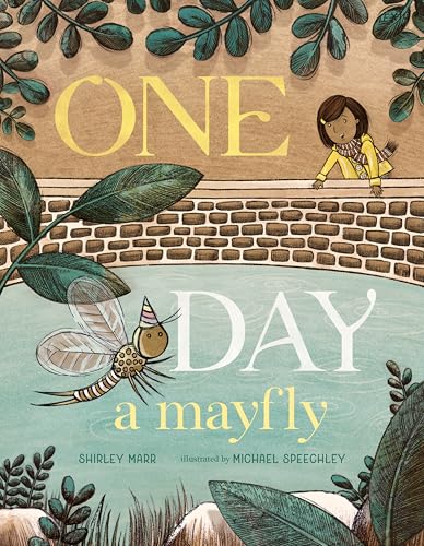 One Day a Mayfly - Hardcover
