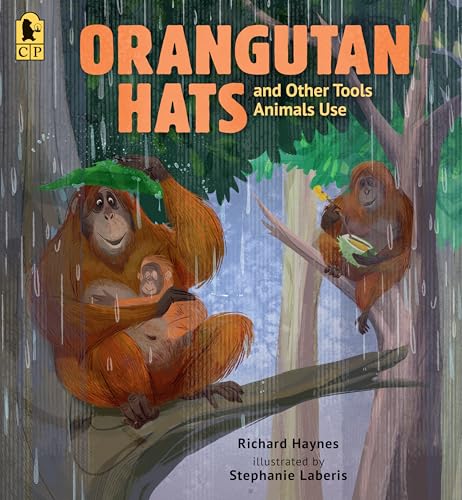 Orangutan Hats and Other Tools Animals Use - Paperback