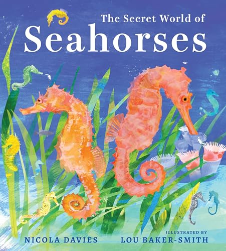 The Secret World of Seahorses - Hardcover