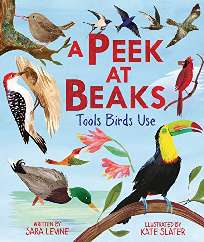 A Peek at Beaks: Tools Birds Use - Hardcover