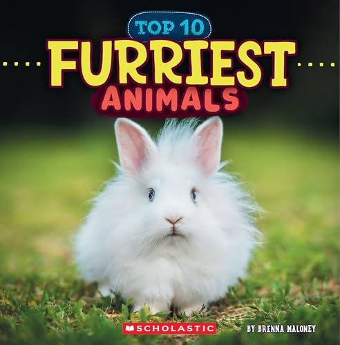 Furriest Animals (Wild World: Top 10) - Paperback