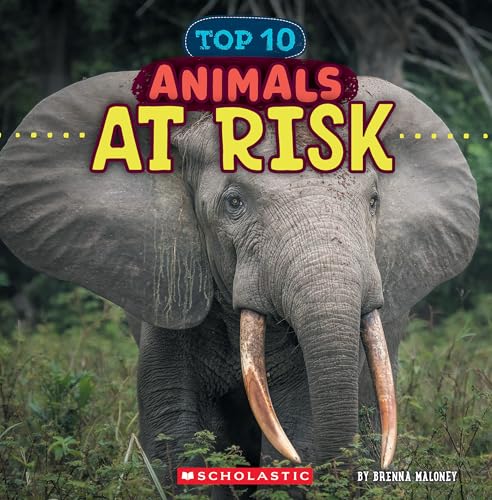 Animals at Risk (Wild World: Top 10) - Hardcover