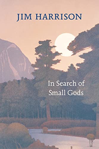 In Search of Small Gods - Paperback