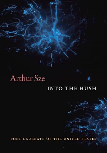 Into the Hush - Hardcover