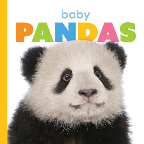 Baby Pandas - Board Books