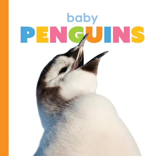 Baby Penguins - Board Books