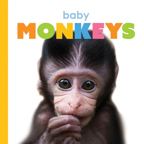 Baby Monkeys - Board Books