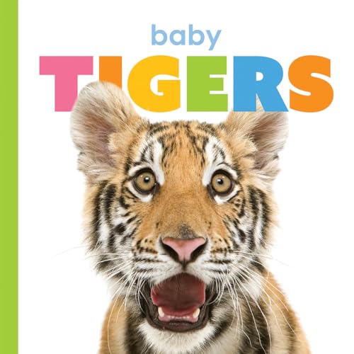 Baby Tigers - Board Books
