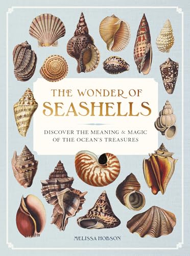 The Wonder of Seashells: Discover the Meaning & Magic of the Ocean's Treasures - Hardcover