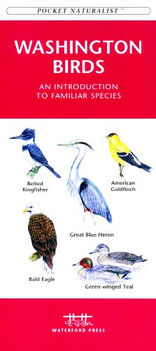 Washington State Birds - Other