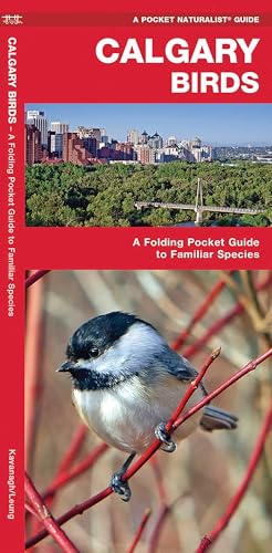 Calgary Birds - Paperback
