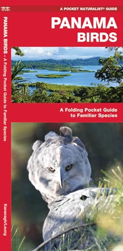 Panama Birds - Paperback