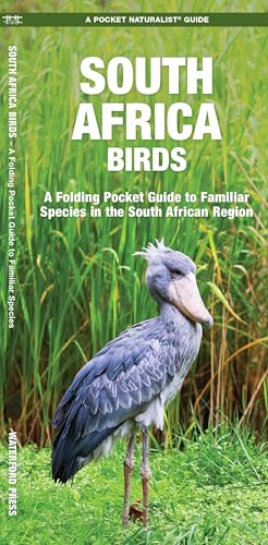 South Africa Birds - Paperback