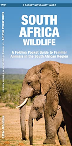 South Africa Wildlife - Paperback