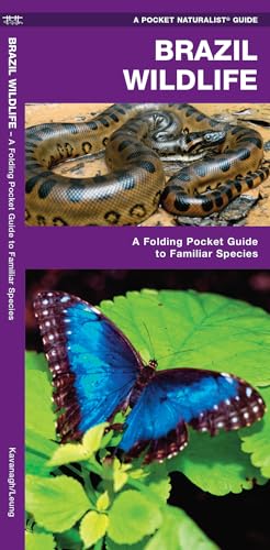 Brazil Wildlife - Paperback