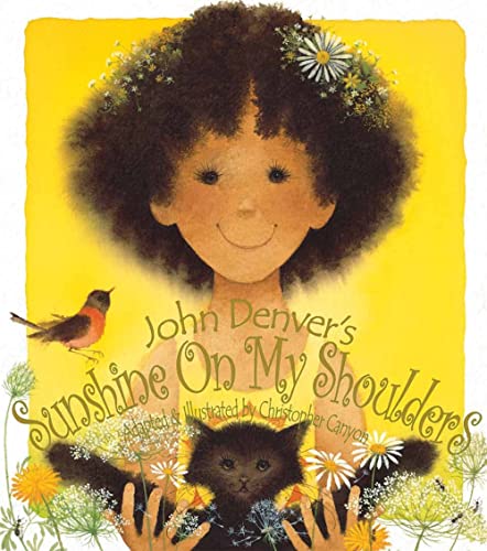 Sunshine on My Shoulders - Paperback