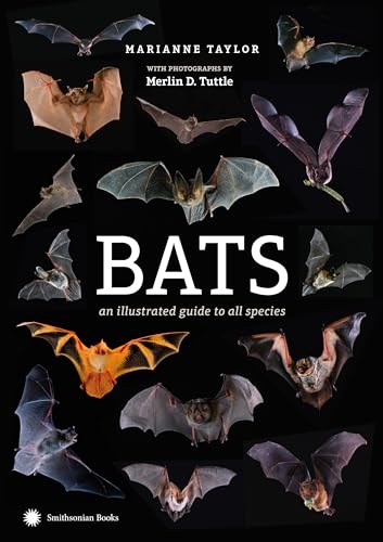Bats: An Illustrated Guide to All Species - Hardcover