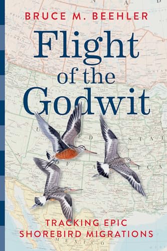 Flight of the Godwit: Tracking Epic Shorebird Migrations - Hardcover