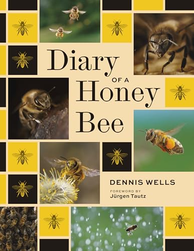 Diary of a Honey Bee - Hardcover