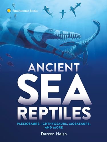Ancient Sea Reptiles: Plesiosaurs, Ichthyosaurs, Mosasaurs, and More - Paperback