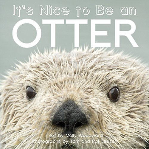 It's Nice to Be an Otter - Board Books