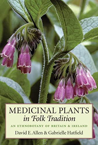 Medicinal Plants in Folk Tradition - Paperback