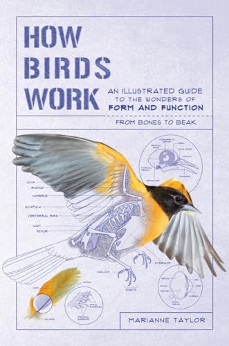 How Birds Work: An Illustrated Guide to the Wonders of Form and Function - From Bones to Beak - Paperback