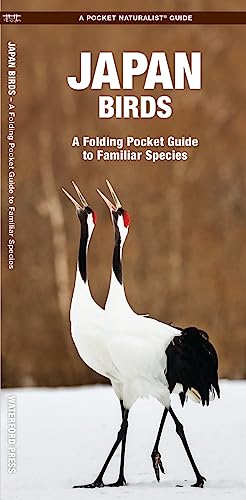 Japan Birds - Paperback