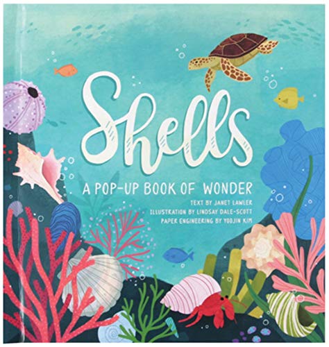Shells: A Pop-Up Book of Wonder - Hardcover