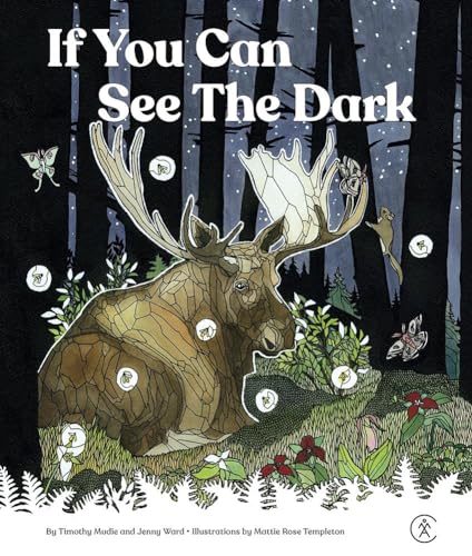 If You Can See the Dark - Hardcover